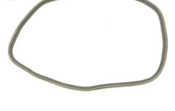 Porsche Taycan 9J1 Loading door rubber seal (on body) 