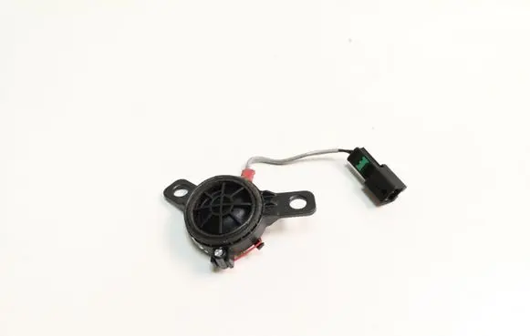 Front door high frequency speaker