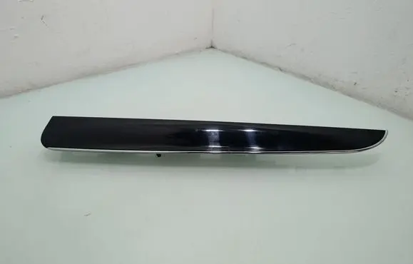 Dodge Grand Caravan Panel trim L0201312AA