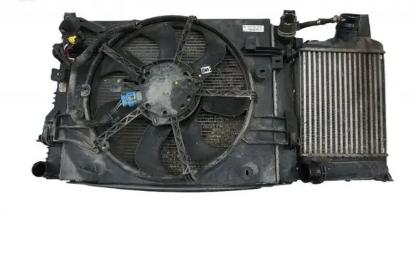 Dacia Duster Coolant radiator 214100078R