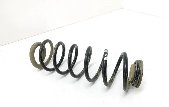 Rear coil spring