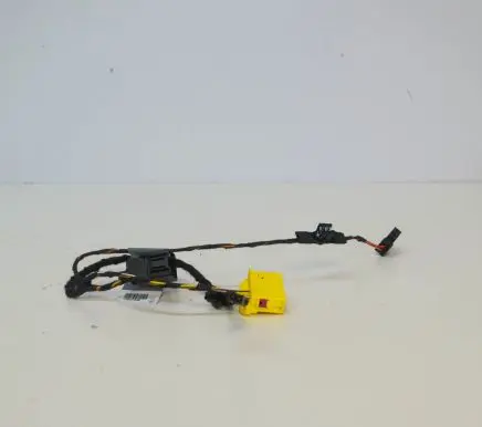 Front door wiring loom