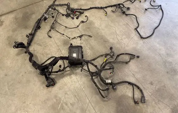 Other wiring loom