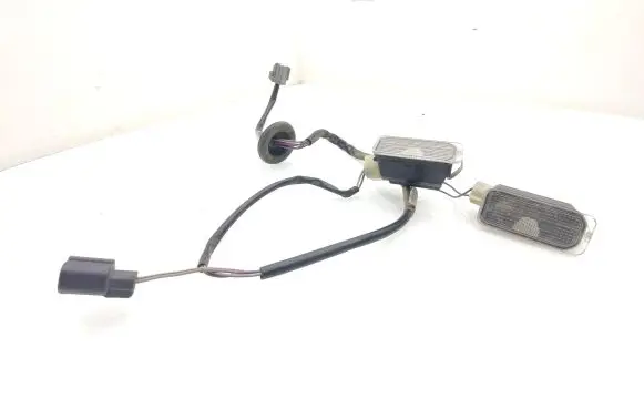 Number plate light