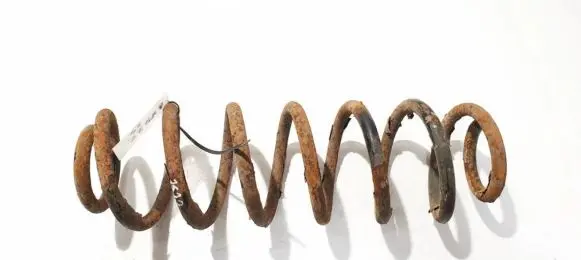 Rear coil spring