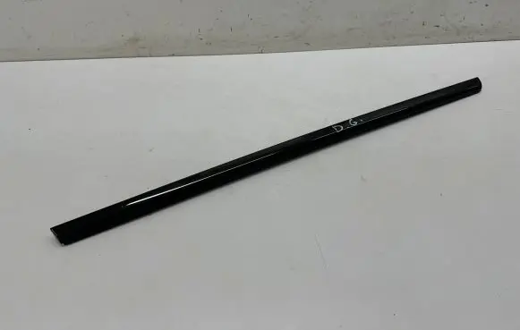 Rear door glass trim molding