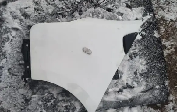 Renault Trafic III (X82) Fender