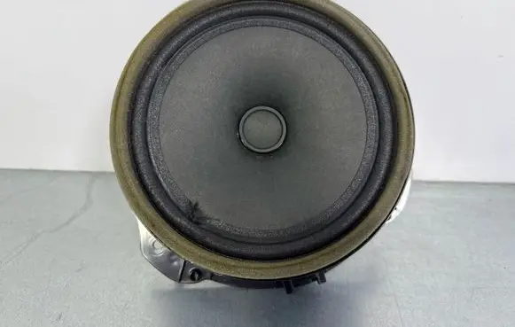 Jaguar F-Pace Front door speaker GX7318808DB