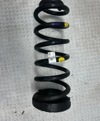 Rear coil spring