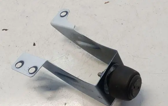 Renault Master III Rear door check strap stopper 901770008R
