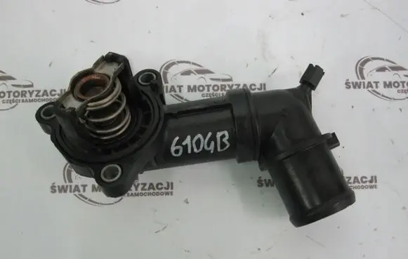 Thermostat/thermostat housing