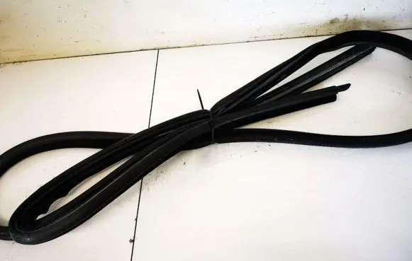 BMW X6 E71 Rubber seal front coupe door 