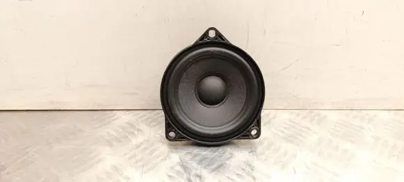 Tesla Model Y Juniper Panel speaker 107974200D
