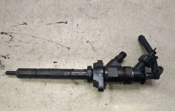 Citroen C3 Fuel injector 0445110311