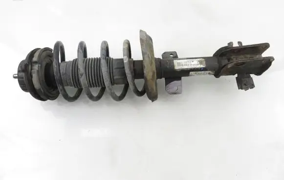 Fiat Bravo Front shock absorber with coil spring 