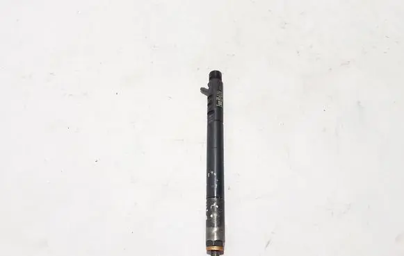 SsangYong Rodius Fuel injector EJBR04401D
