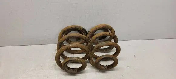 Rear coil spring