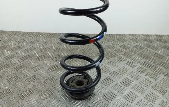 Renault Arkana Rear coil spring