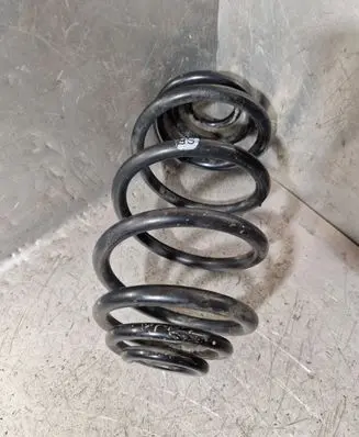 Rear coil spring