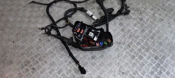 Porsche Cayenne (9Y0 9Y3) Other wiring loom