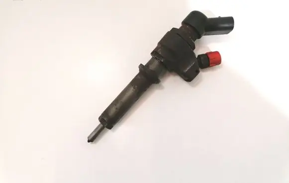 Peugeot 406 Fuel injector 9636819380
