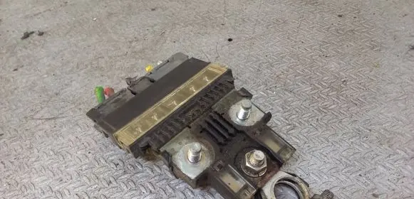 Nissan Note (E12) Positive wiring loom G9292466