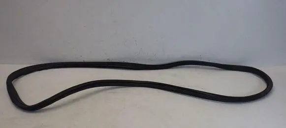 Citroen C3 Front door rubber seal 9813059580