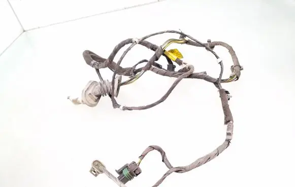 Rear door wiring loom