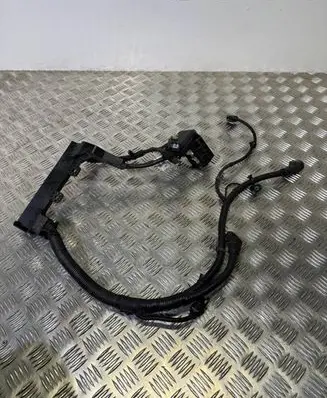 KIA Sportage Positive cable (battery) 91855F1250 301817005 21082433128