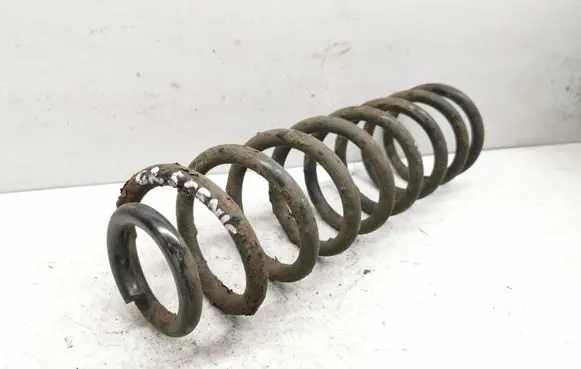 Rear coil spring