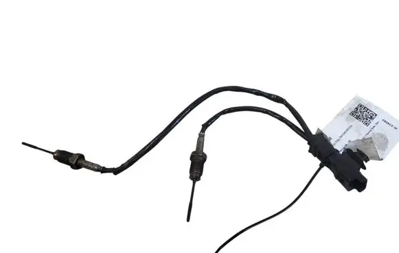 Citroen Berlingo Exhaust gas temperature sensor 9808312080