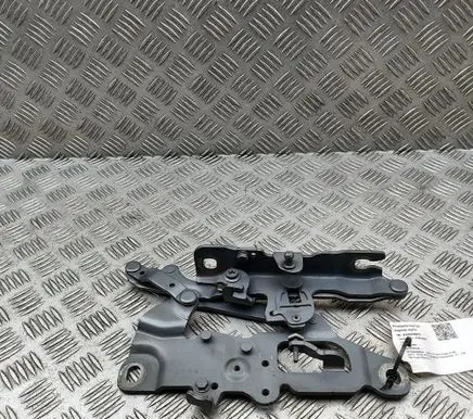 BMW 6 F06 Gran coupe Engine bonnet/hood hinges 7249887