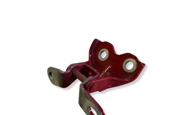 Hyundai Kona II Front door lower hinge 