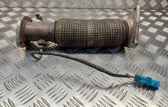 Renault Laguna III Exhaust flexible connection 200600006R