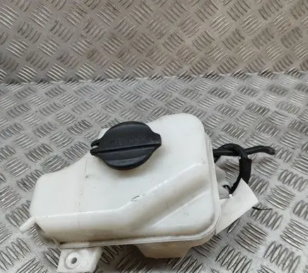 KIA Optima Coolant expansion tank/reservoir 254302T000