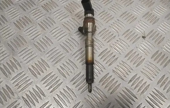 Nissan Qashqai Fuel injector H8201100113