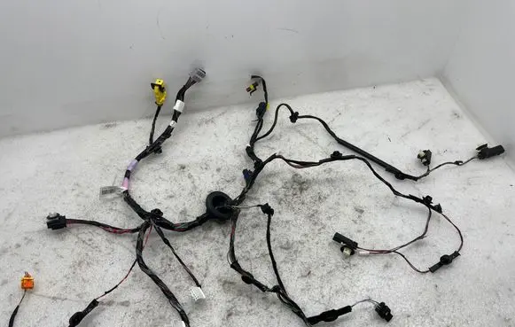 Tesla Model X Rear door wiring loom 103244180g