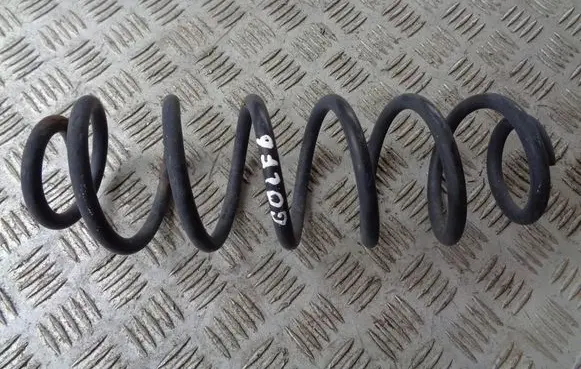 Rear coil spring