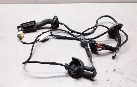 Front door wiring loom