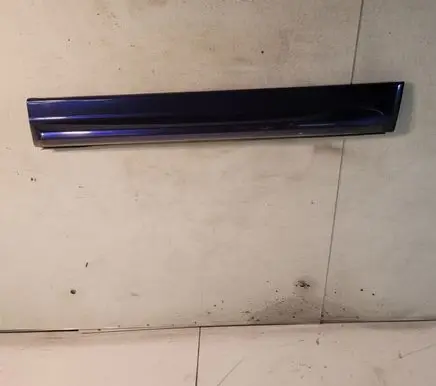 Land Rover Range Rover Sport L320 Front door trim (molding) DGP000201