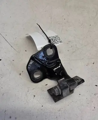BMW 7 E65 E66 Rear door lower hinge 7017818