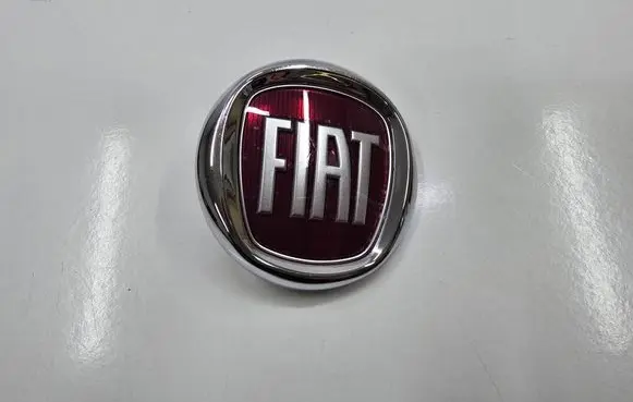 Fiat Punto Evo Other badges/marks FM0661S1