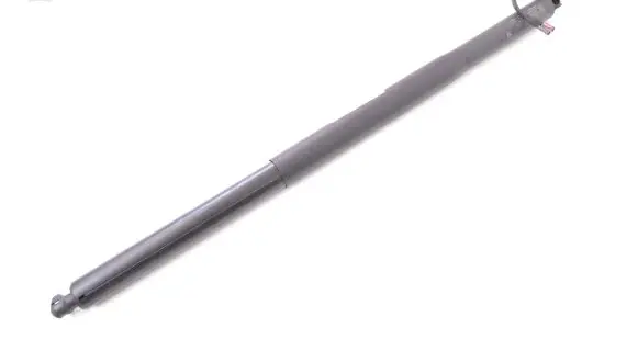 Tailgate/trunk strut/damper