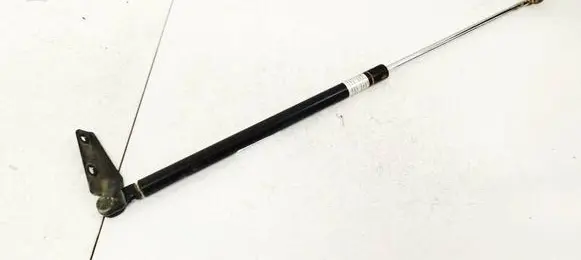 Tailgate/trunk strut/damper