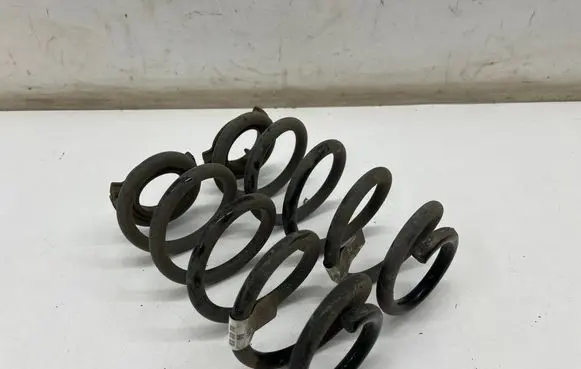 Rear coil spring