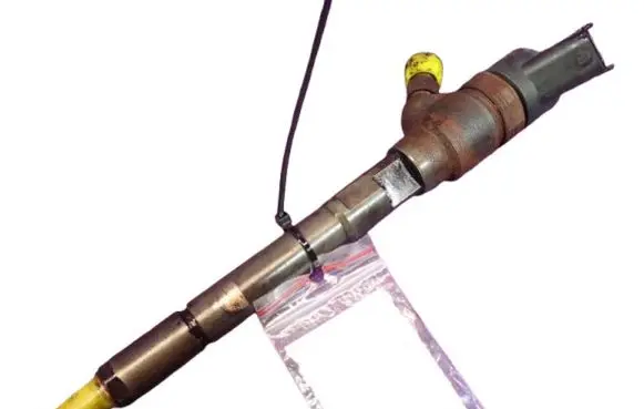 Hyundai Santa Fe Fuel injector 0445110254