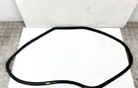 Volkswagen PASSAT B7 USA Rear door rubber seal (on body) 561867914