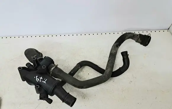 Thermostat/thermostat housing