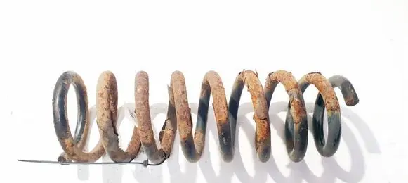 Rear coil spring