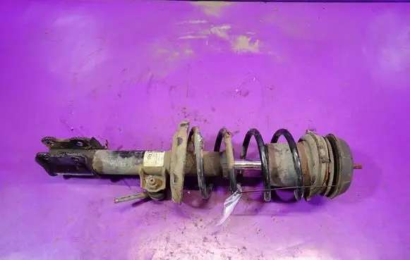 Front shock absorber with coil spring